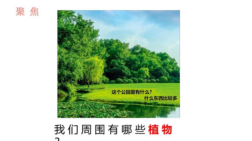 教科版1上科學第1單元第1課《我們知道的植物》課件第2頁