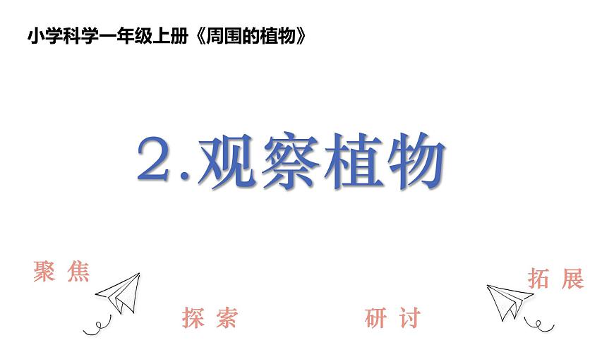 教科版1上科學(xué)第1單元第2課《觀察植物》課件第1頁