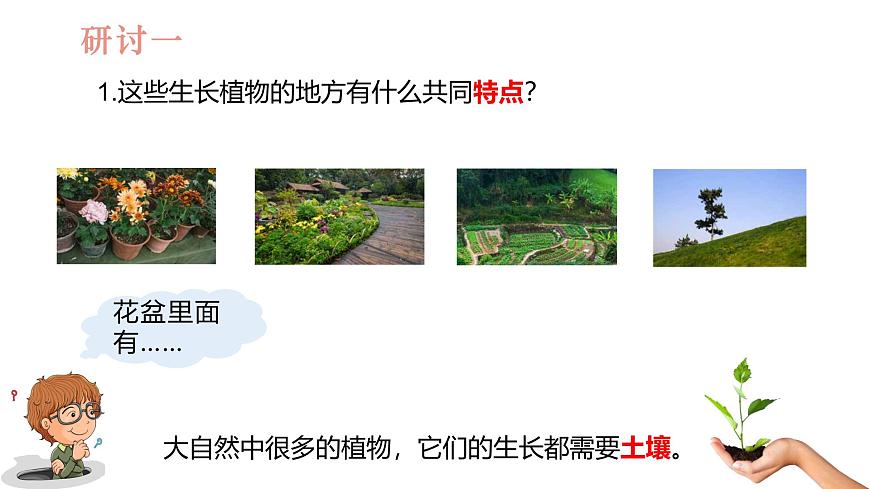教科版1上科學(xué)第1單元第3課《植物長(zhǎng)在哪里》課件第4頁(yè)