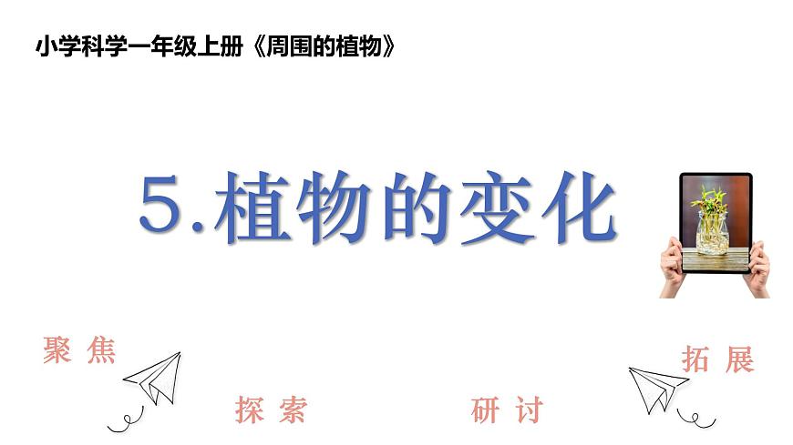 教科版1上科學(xué)第1單元第5課《植物的變化》課件第1頁