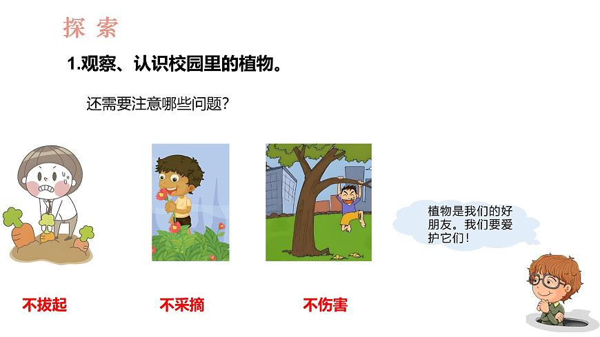 教科版1上科學(xué)第1單元第6課《校園里的植物》課件第4頁