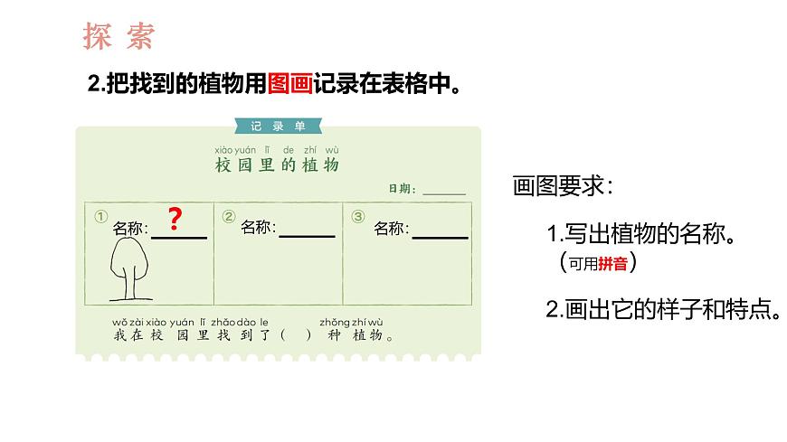 教科版1上科學(xué)第1單元第6課《校園里的植物》課件第5頁