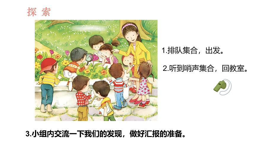 教科版1上科學(xué)第1單元第6課《校園里的植物》課件第6頁