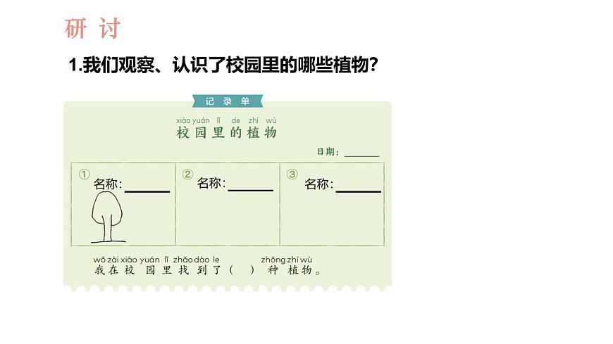教科版1上科學(xué)第1單元第6課《校園里的植物》課件第7頁