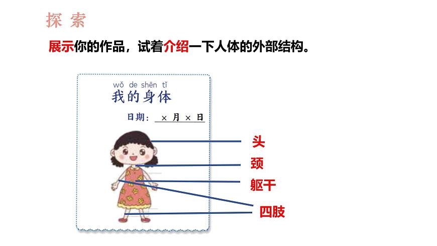 教科版1上科學第2單元第1課《我們的身體》課件第4頁