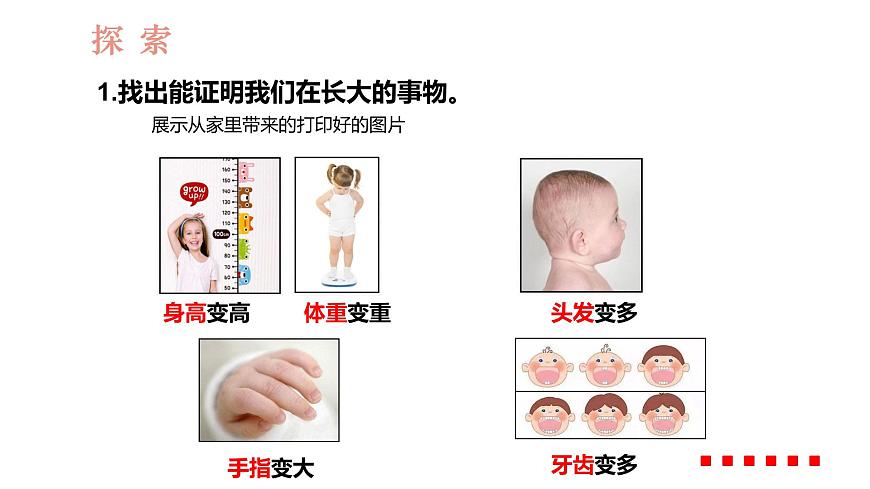 教科版1上科學(xué)第2單元第2課《發(fā)現(xiàn)生長(zhǎng)》課件第3頁(yè)