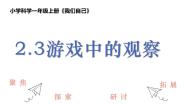 教科版（2024）一年级上册3. 游戏中的观察获奖课件ppt