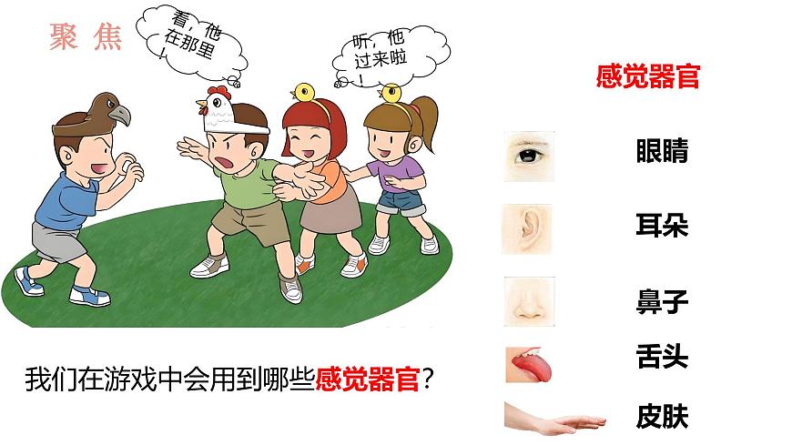 教科版1上科學(xué)第2單元第3課《游戲中的觀察》課件第2頁