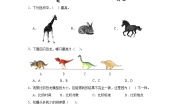 科学教科版 (2017)1.在观察中比较课后复习题