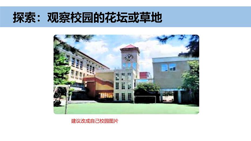 小學(xué)科學(xué)新教科版一年級上冊第二單元第5課《通過感官來發(fā)現(xiàn)》教學(xué)課件（2024秋）第4頁