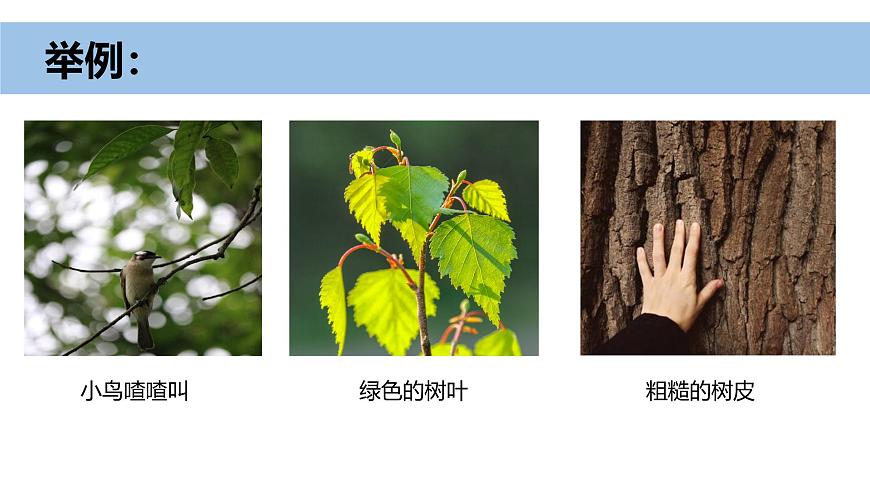 小學(xué)科學(xué)新教科版一年級上冊第二單元第5課《通過感官來發(fā)現(xiàn)》教學(xué)課件（2024秋）第5頁
