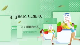 青岛版六三制（2017）科学六年级上册4.3《影长与季节》课件