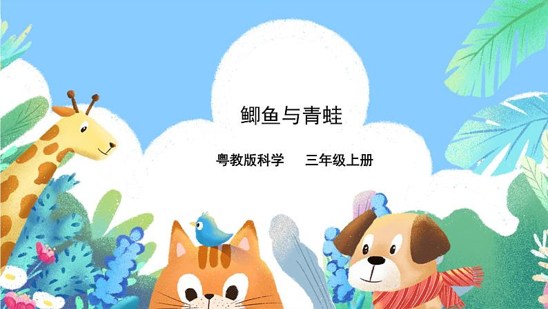 粤教粤科版(2017)科学三年级上册1.1《鲫鱼与青蛙》 课件第1页