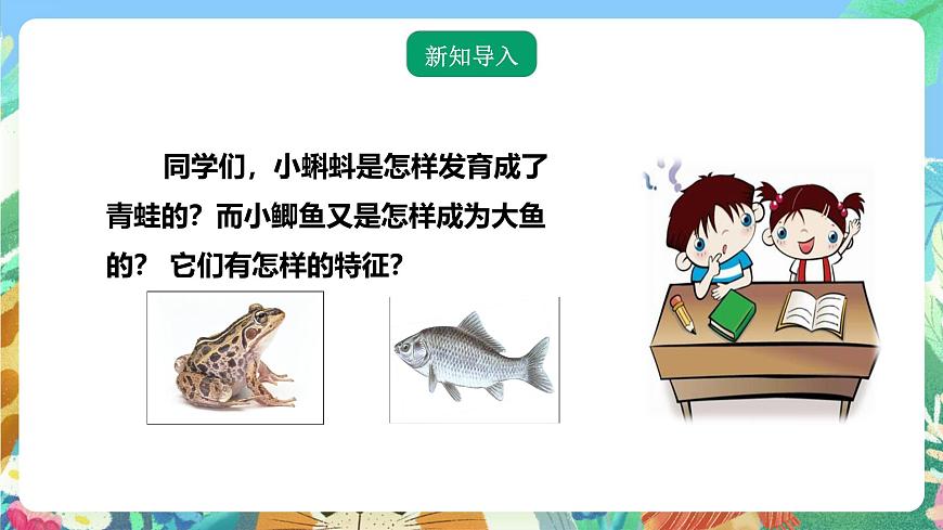 粵教粵科版（2017）科學(xué)三年級(jí)上冊(cè)1.1《鯽魚與青蛙》 課件第2頁(yè)