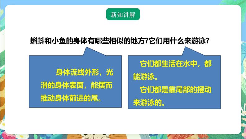粤教粤科版(2017)科学三年级上册1.1《鲫鱼与青蛙》 课件第4页