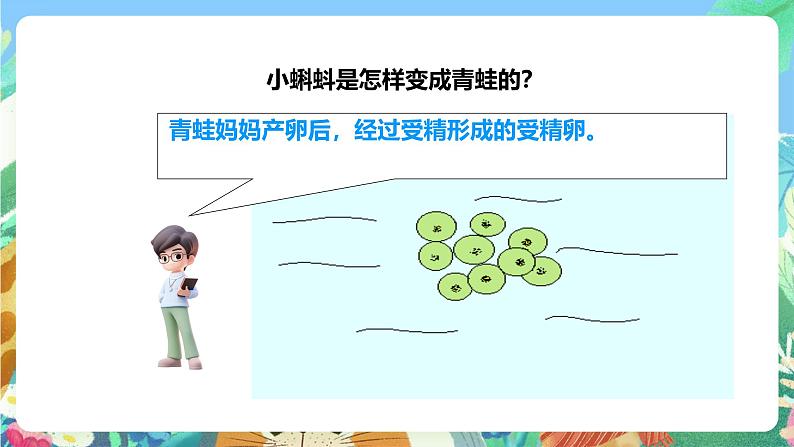 粤教粤科版(2017)科学三年级上册1.1《鲫鱼与青蛙》 课件第6页