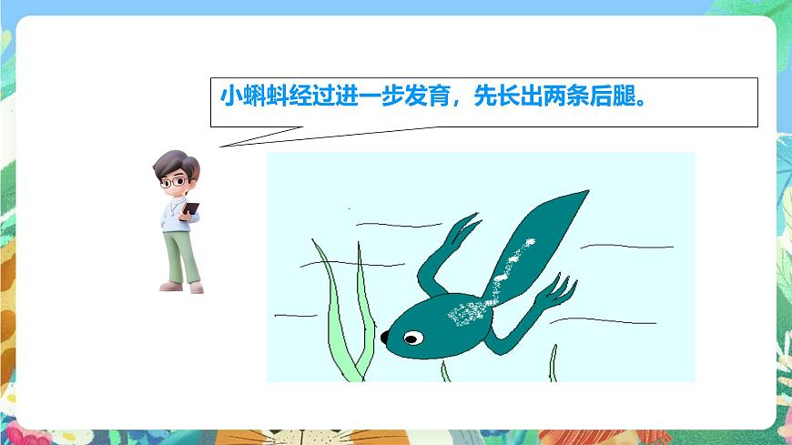 粵教粵科版（2017）科學(xué)三年級(jí)上冊(cè)1.1《鯽魚與青蛙》 課件第8頁(yè)