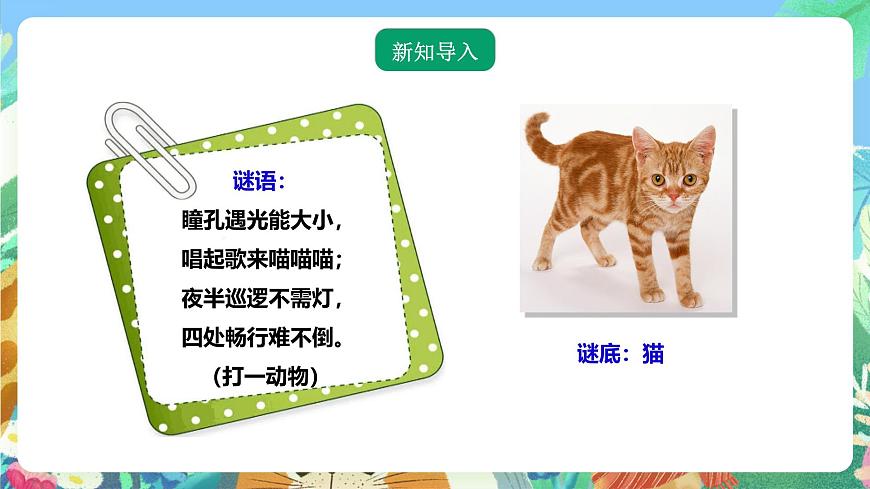 粵教粵科版（2017）科學(xué)三年級(jí)上冊(cè)1.3《壁虎與小貓》 課件第2頁