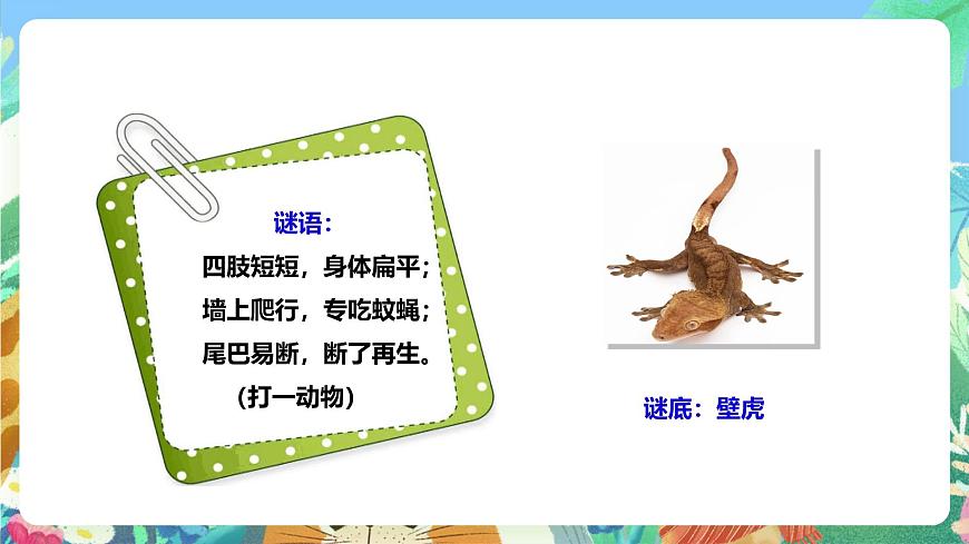 粵教粵科版（2017）科學(xué)三年級(jí)上冊(cè)1.3《壁虎與小貓》 課件第3頁