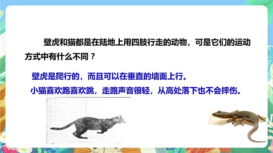 粵教粵科版（2017）科學(xué)三年級(jí)上冊(cè)1.3《壁虎與小貓》 課件第8頁