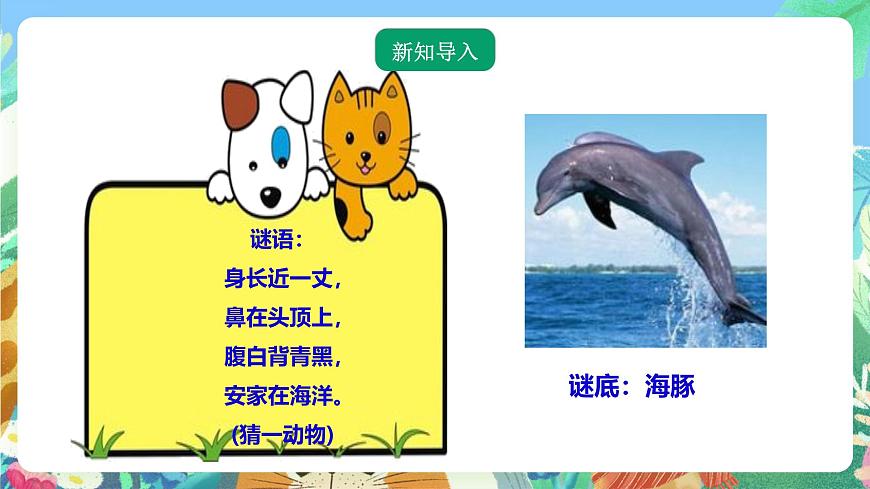 粵教粵科版（2017）科學(xué)三年級上冊1.5《海洋里的動物》 課件第2頁