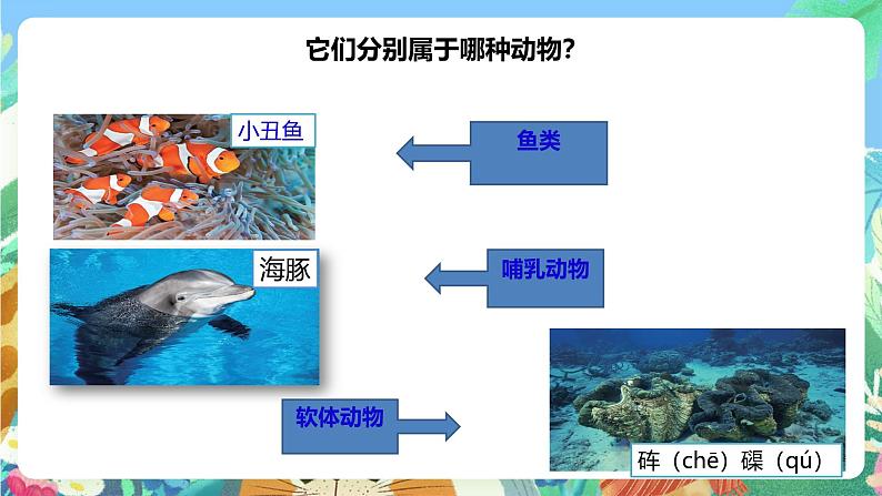 粤教粤科版(2017)科学三年级上册1.5《海洋里的动物》课件+教案+练习05