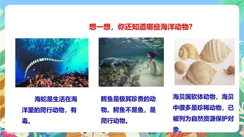 粤教粤科版(2017)科学三年级上册1.5《海洋里的动物》课件+教案+练习06
