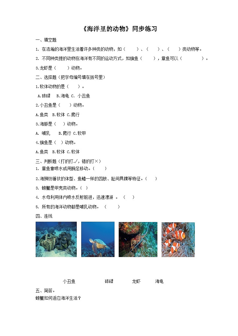 粤教粤科版(2017)科学三年级上册1.5《海洋里的动物》课件+教案+练习01