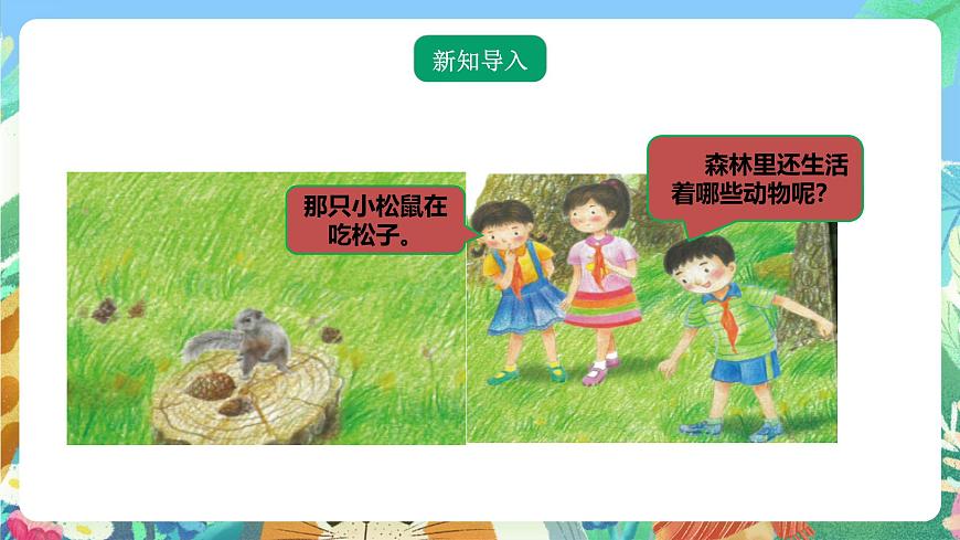 粵教粵科版（2017）科學(xué)三年級(jí)上冊(cè)1.6《森林里的動(dòng)物》 課件第2頁(yè)