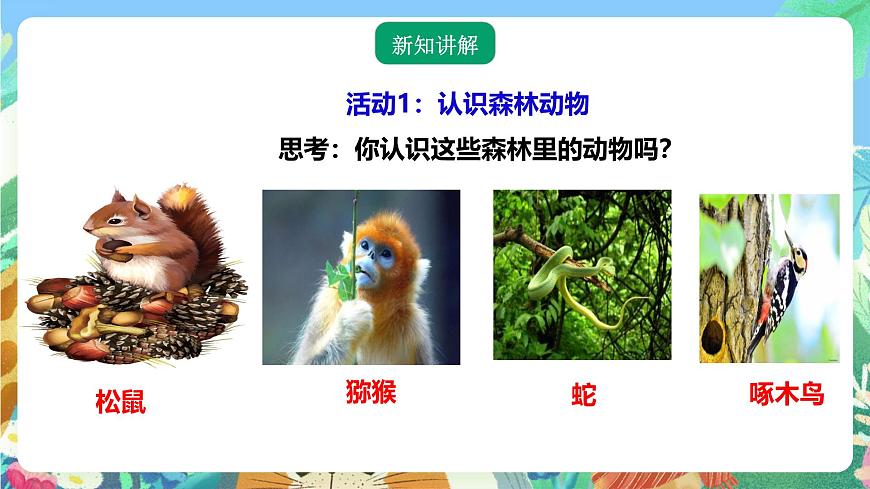 粵教粵科版（2017）科學(xué)三年級(jí)上冊(cè)1.6《森林里的動(dòng)物》 課件第3頁(yè)