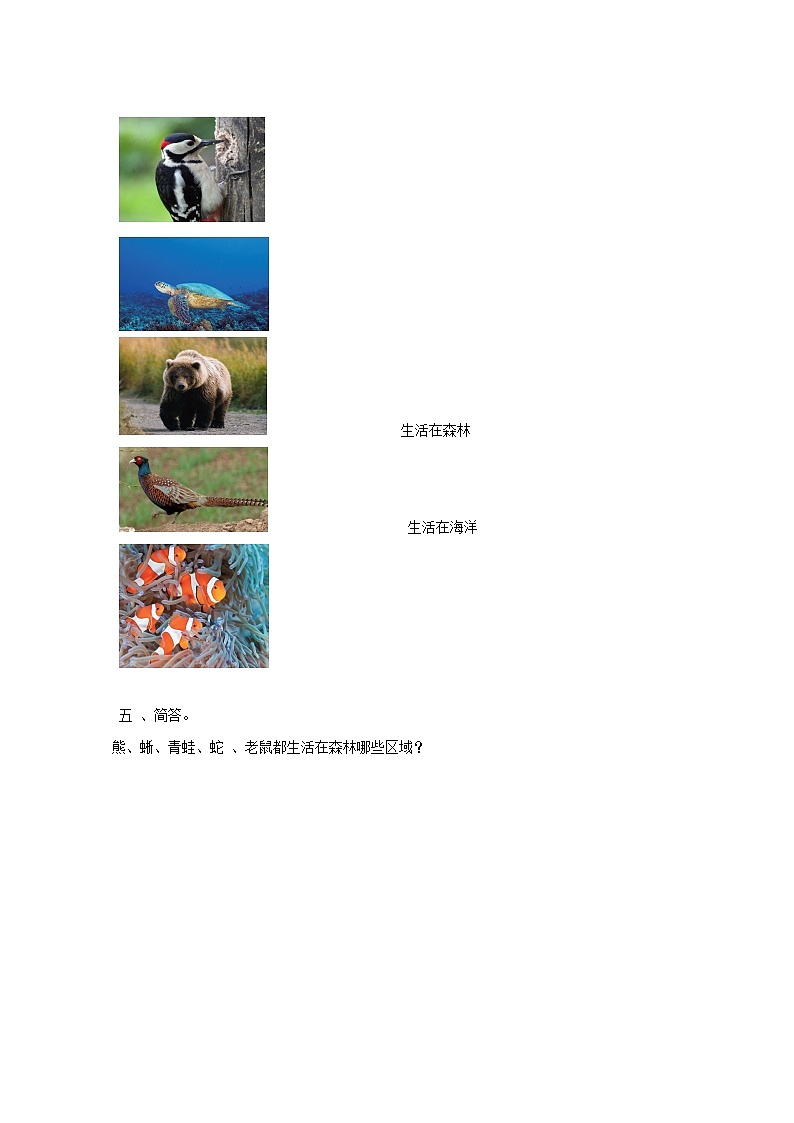 粤教粤科版(2017)科学三年级上册1.6《森林里的动物》课件+教案+练习02