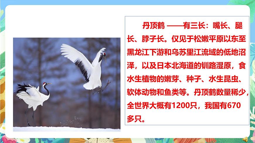 粵教粵科版（2017）科學(xué)三年級上冊1.7《網(wǎng)上學(xué)習(xí)：保護動物》 課件第6頁