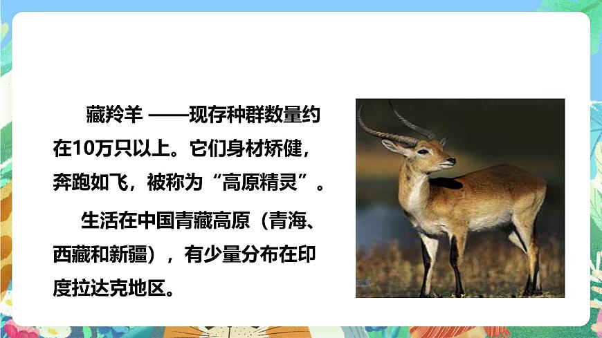 粵教粵科版（2017）科學(xué)三年級上冊1.7《網(wǎng)上學(xué)習(xí)：保護動物》 課件第7頁