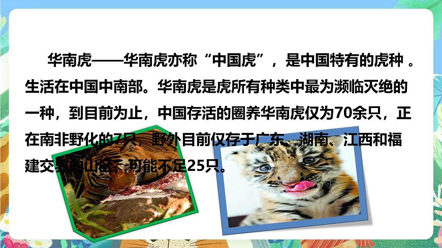 粵教粵科版（2017）科學(xué)三年級上冊1.7《網(wǎng)上學(xué)習(xí)：保護動物》 課件第8頁