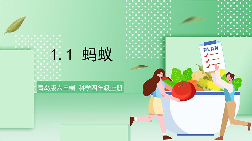 青島版六三制（2017）科學(xué)版四年級上冊1.1《螞蟻》課件第1頁