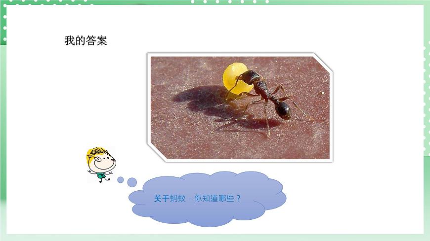 青島版六三制（2017）科學(xué)版四年級上冊1.1《螞蟻》課件第4頁