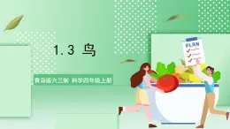 青岛版六三制（2017）科学版四年级上册1.3《鸟》课件