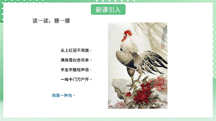 青島版六三制（2017）科學(xué)版四年級上冊1.3《鳥》課件第3頁