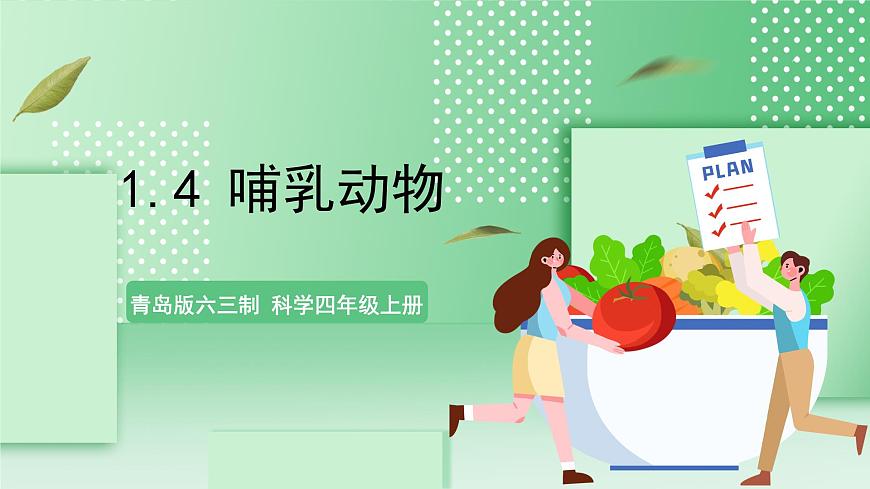 青島版六三制（2017）科學(xué)版四年級(jí)上冊(cè)1.4《哺乳動(dòng)物》課件第1頁(yè)