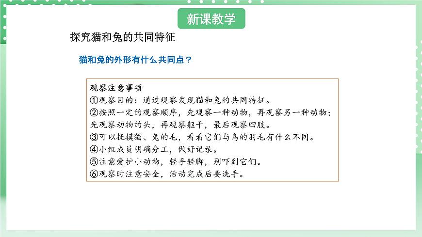 青島版六三制（2017）科學(xué)版四年級(jí)上冊(cè)1.4《哺乳動(dòng)物》課件第4頁(yè)