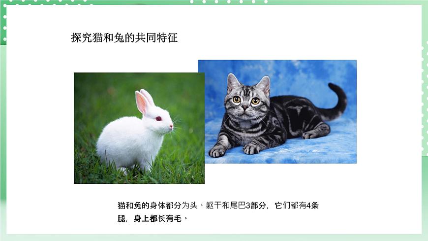 青島版六三制（2017）科學(xué)版四年級(jí)上冊(cè)1.4《哺乳動(dòng)物》課件第5頁(yè)