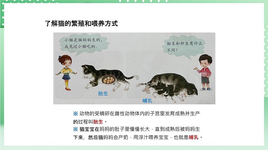 青島版六三制（2017）科學(xué)版四年級(jí)上冊(cè)1.4《哺乳動(dòng)物》課件第6頁(yè)