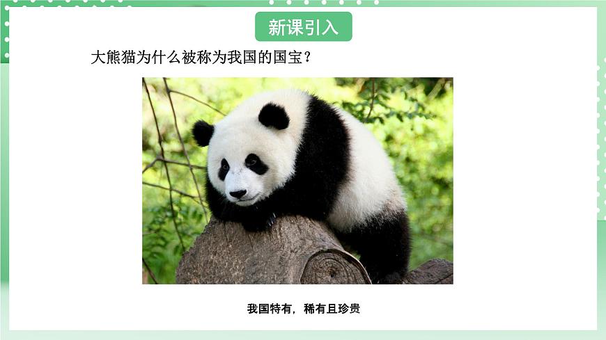 青島版六三制（2017）科學版四年級上冊1.5《我國的珍稀動物》課件第3頁
