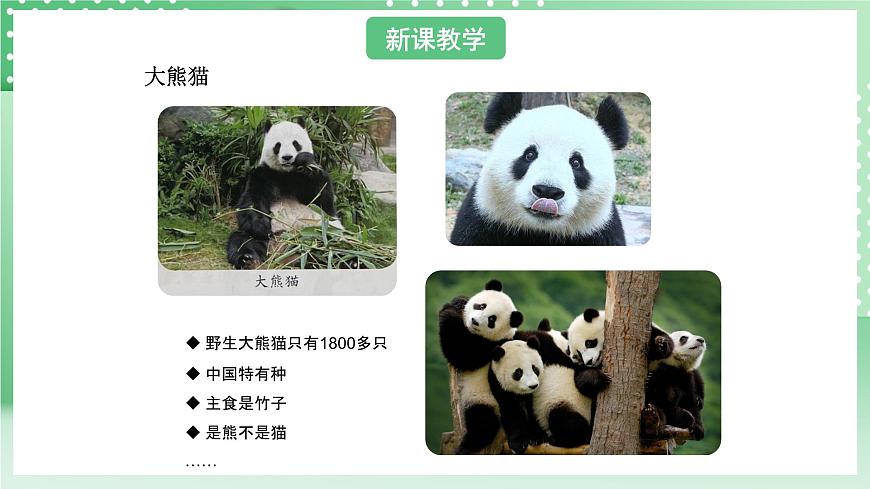 青島版六三制（2017）科學版四年級上冊1.5《我國的珍稀動物》課件第4頁