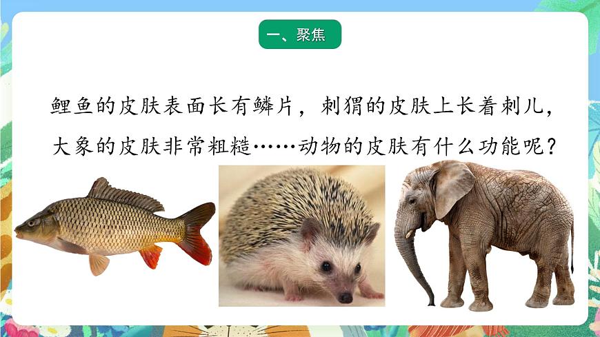 青島版六三制(2017)科學(xué)三年級(jí)上冊(cè)1.2《動(dòng)物的皮膚》課件第2頁