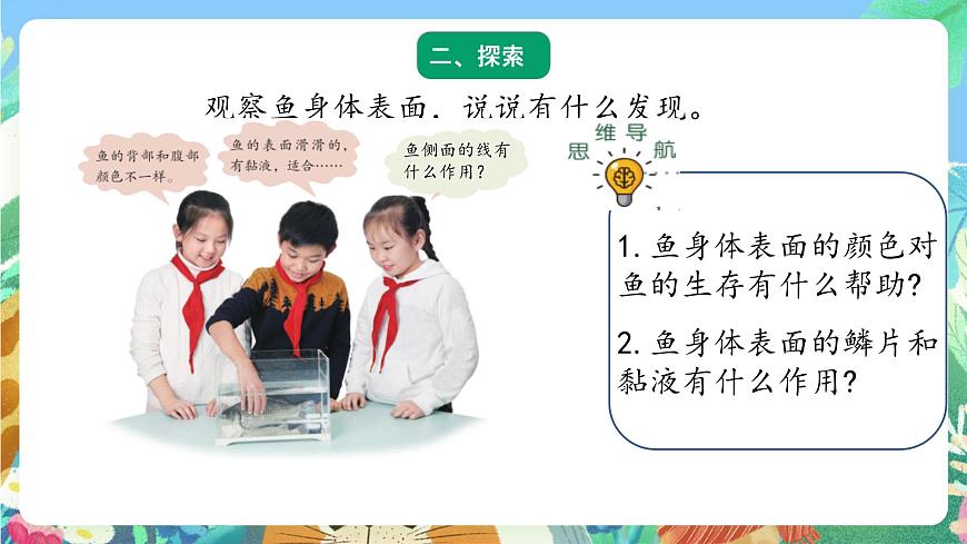 青島版六三制(2017)科學(xué)三年級(jí)上冊(cè)1.2《動(dòng)物的皮膚》課件第3頁