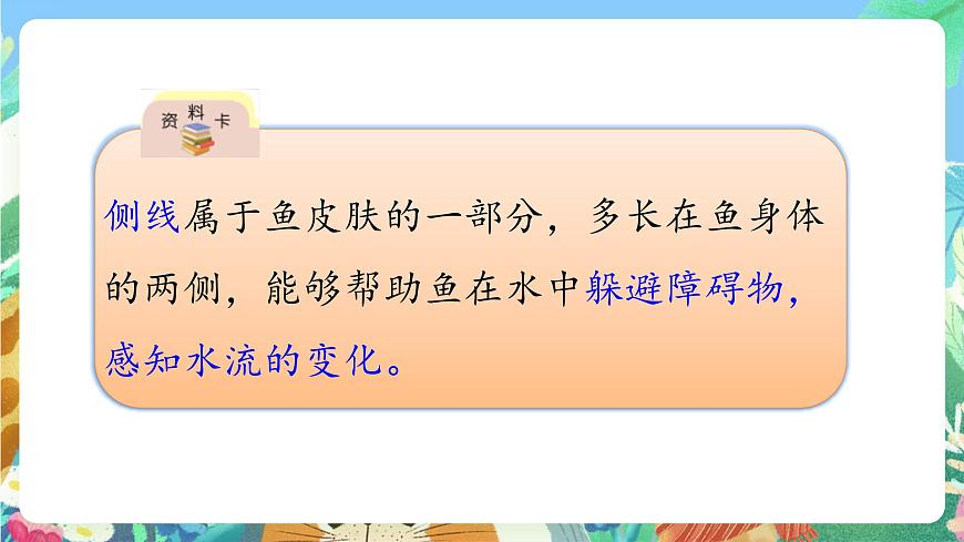 青島版六三制(2017)科學(xué)三年級(jí)上冊(cè)1.2《動(dòng)物的皮膚》課件第7頁