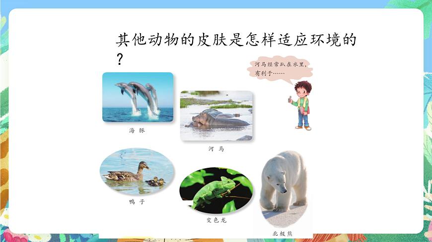 青島版六三制(2017)科學(xué)三年級(jí)上冊(cè)1.2《動(dòng)物的皮膚》課件第8頁