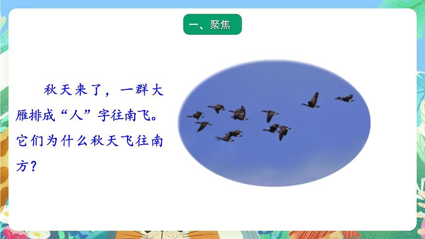青島版六三制（2017）科學(xué)三年級(jí)上冊(cè)1.4《冬眠與遷徙》課件第2頁(yè)