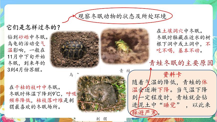 青島版六三制（2017）科學(xué)三年級(jí)上冊(cè)1.4《冬眠與遷徙》課件第3頁(yè)